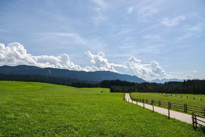 Scenic view of field against sky