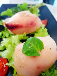 Close-up of fresh salad in plate