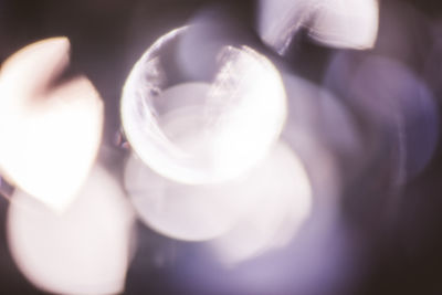 Close-up of food on white background