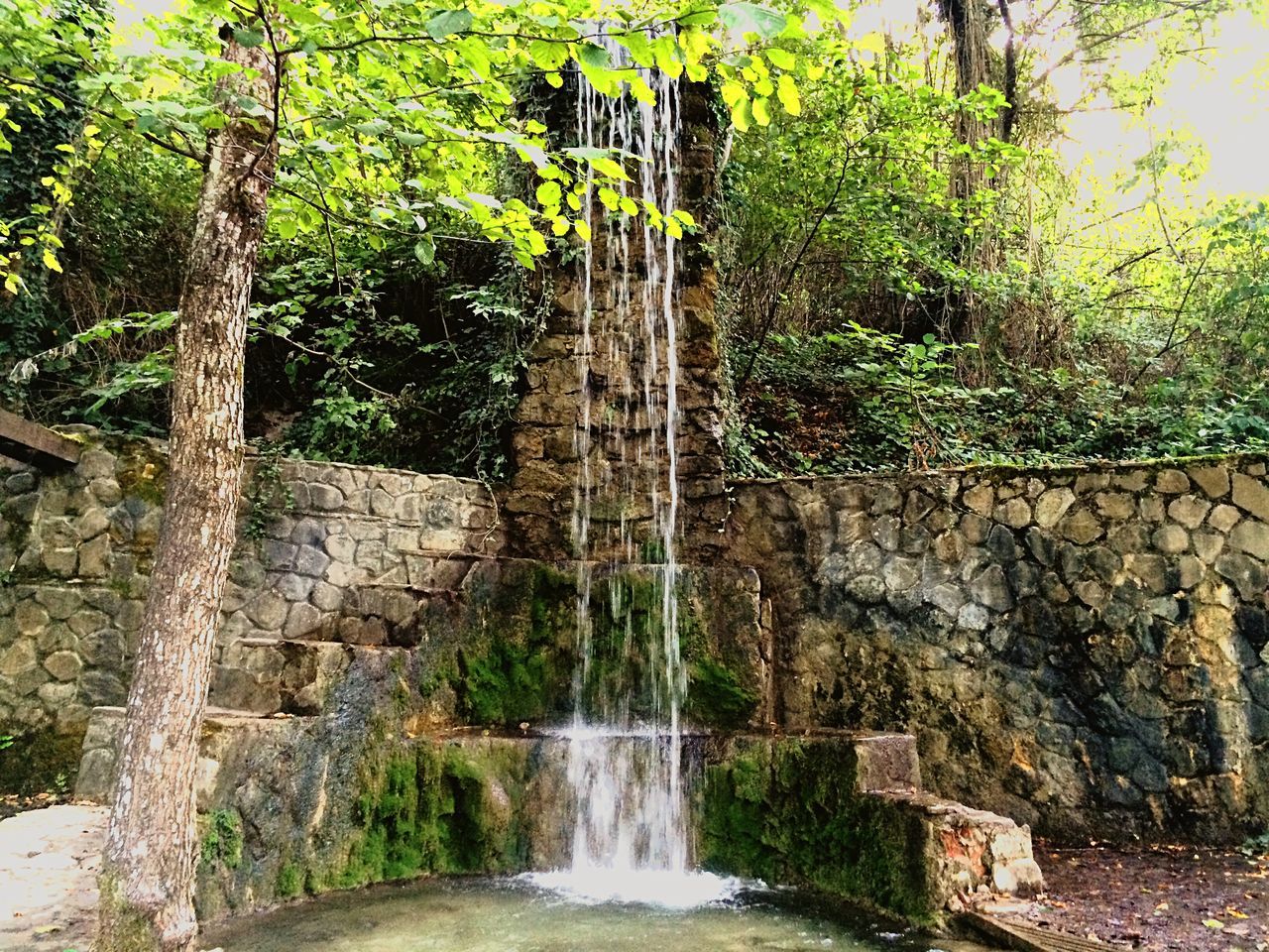 water, tree, waterfall, motion, flowing water, forest, nature, growth, flowing, long exposure, beauty in nature, scenics, rock - object, plant, tranquility, day, outdoors, green color, tranquil scene, no people