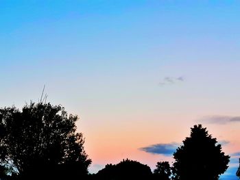 Low angle view of silhouette trees against sky at sunset