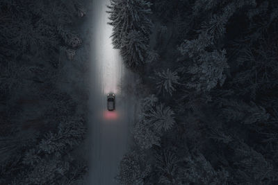 The car drives at night on a snowy forest road. headlight illumination only. vehicle topics