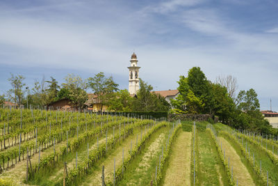 Scenic view of farm against sky