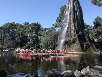 View of fountain in lake against clear sky