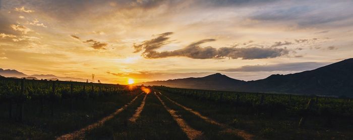 Road amidst agricultural landscape against sky during sunset