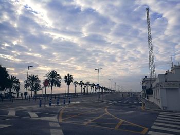 Palm trees in city against sky