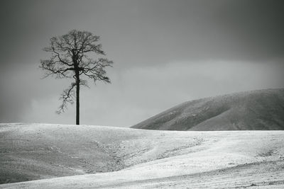 black and white