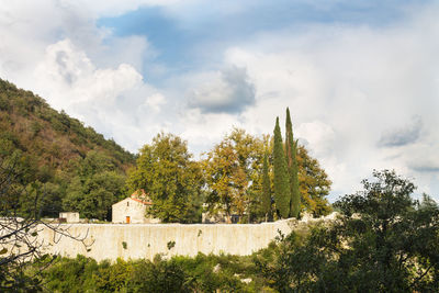 Trees and buildings against sky