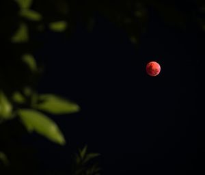 Close-up of moon at night