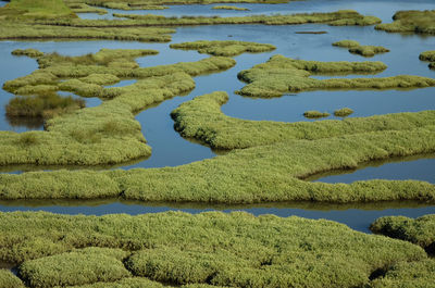 High angle view of lake