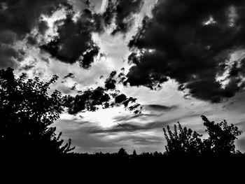 Low angle view of silhouette trees against sky