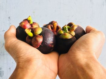 Close-up of hand holding apples