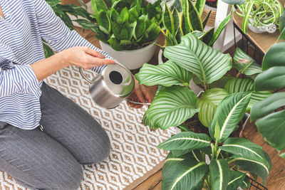 Midsection of woman holding plant