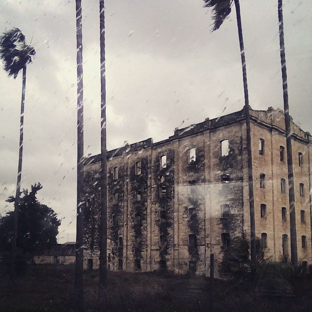 architecture, building exterior, built structure, sky, low angle view, tree, window, cloud - sky, building, glass - material, reflection, cloudy, city, day, outdoors, cloud, weather, no people, residential building, palm tree