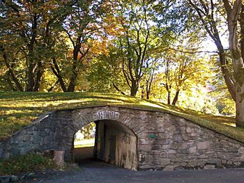 Archway by trees during autumn