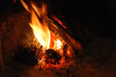 Campfire at night