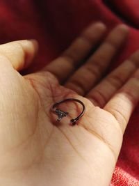 Close-up of human hand on insect
