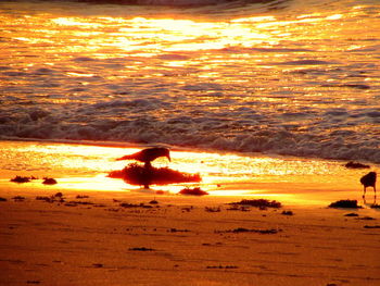 Silhouette people on beach against sky during sunset