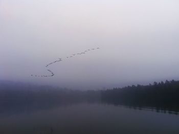 Silhouette birds flying over lake against sky during sunset