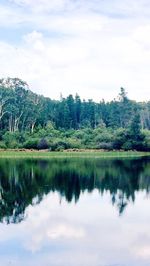 Reflection of trees in lake