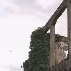 Low angle view of bird flying against sky