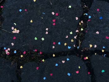 High angle view of multi colored flowers on street