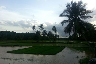 Scenic view of landscape against cloudy sky