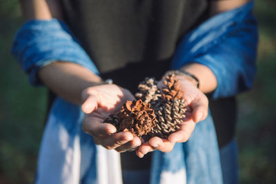 Midsection of woman holding pine cones