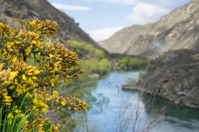 Scenic view of river by mountains against sky