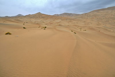 Chains of moving and stationary sand dunes of up to 500 ms.cover the badain jaran desert. china-1056
