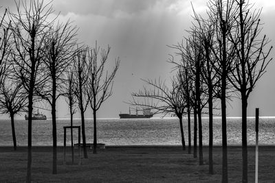 Bare trees on beach against sky