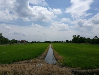 Dirt road passing through field