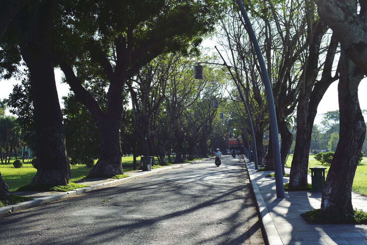 tree, tree trunk, growth, nature, shadow, walking, road, outdoors, the way forward, day, sunlight, real people, full length, beauty in nature, one person, branch, people