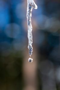 Close-up of frozen water