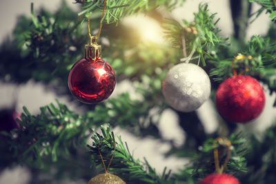 Close-up of christmas decorations hanging on tree