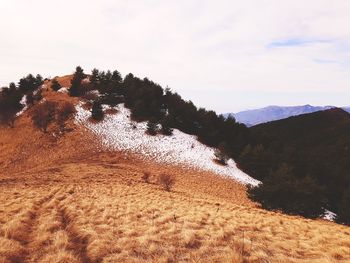 High angle view of trees on mountain against sky