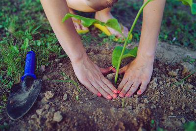 Low section of woman planting in yard