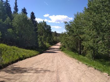 Road amidst trees against sky