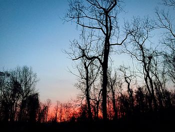 Low angle view of bare tree against sky