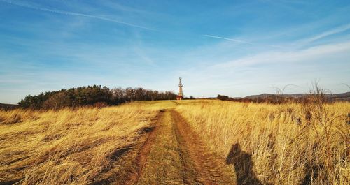 Scenic view of field against clear sky