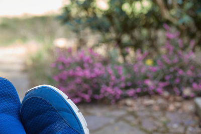 Parts of blue slippers in raised feet in front of an intentionally blurred garden, relaxation 