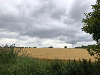 Scenic view of field against sky