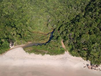 High angle view of trees on land