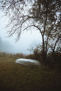 Trees on field against sky during foggy weather