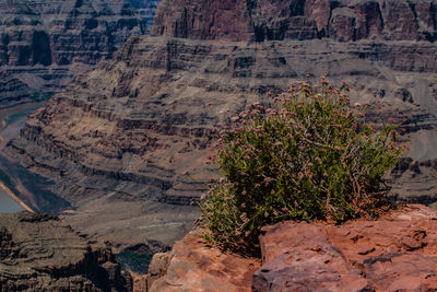 Scenic view of rock formations