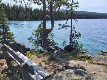 Scenic view of lake by trees against sky