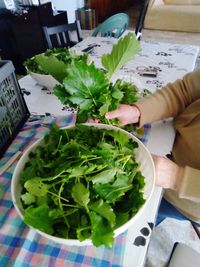 Close-up of hand holding salad
