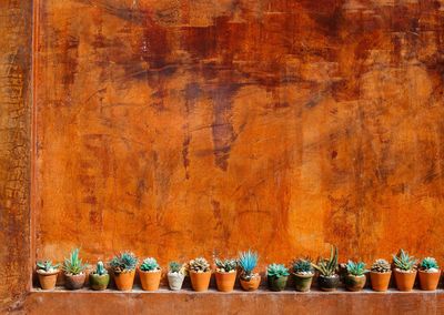 Row of potted plants on wooden wall