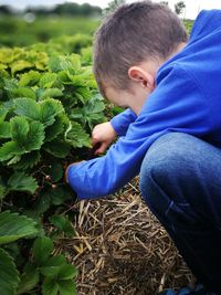 Close-up of boy planting on field