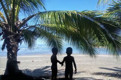 Brothers at beach by palm tree